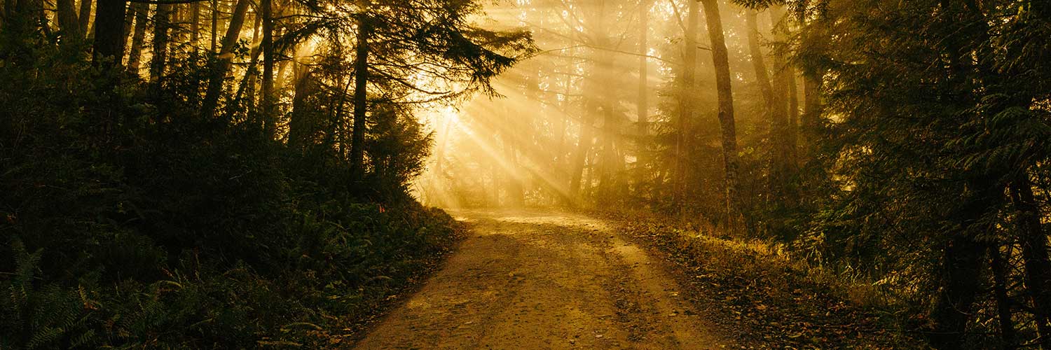 Gestalttherapie mit Sebastian Bühner