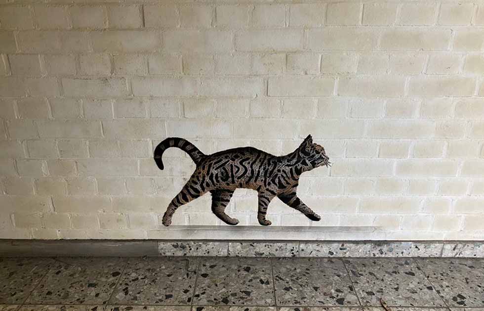 Körper erzählt wahre Geschichte