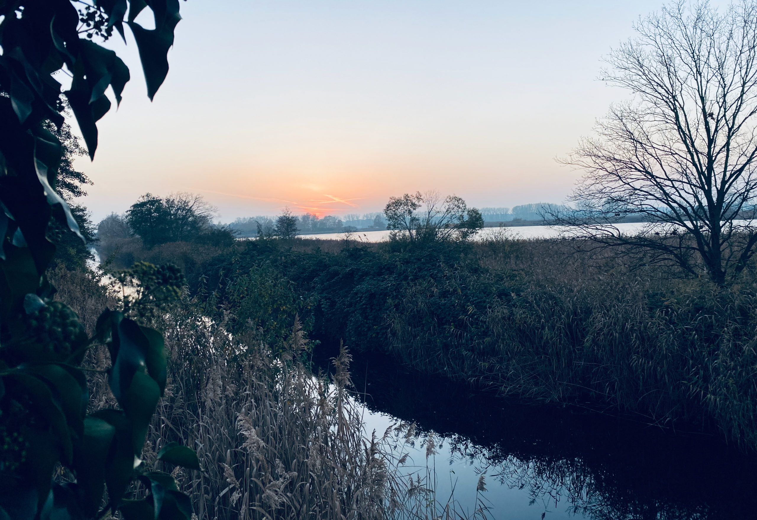 „Wie Eltern reagieren können, wenn Kinder ausrasten – Begleitung bei Wutanfällen“