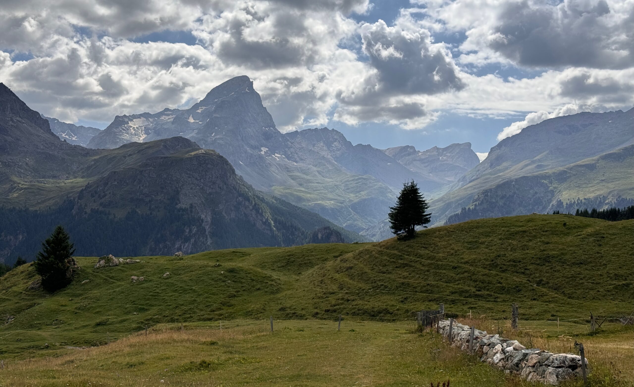 In der bedürfnisorientierten Erziehung fügen sich verschiedene Aspekte harmonisch zusammen, obwohl sie unterschiedlich sind – genau wie dieser Baum vor der Bergkulisse.